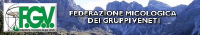 G.M.C. aderisce alla F.G.V. (Federazione Gruppi Veneti)